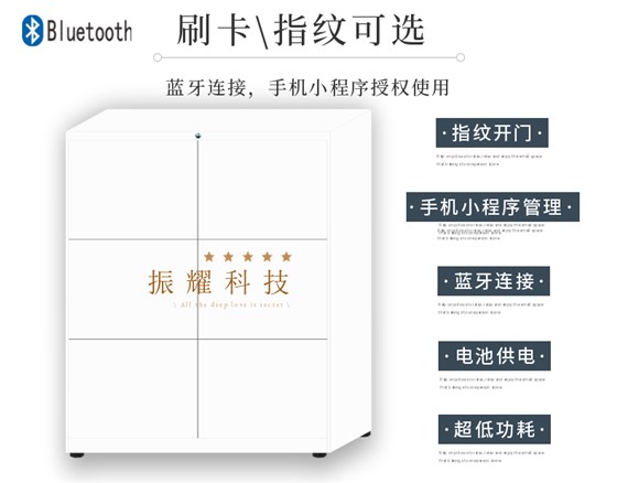 6门刷卡指纹文件柜介绍